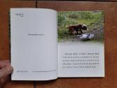 Labai gražios knygelės vaikučiams - nuotraukos Nr. 4