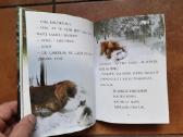 Labai gražios knygelės vaikučiams - nuotraukos Nr. 10