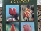 Knyga Tulpės