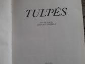 Knyga Tulpės - nuotraukos Nr. 4