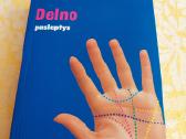 Delno paslaptys