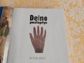 Delno paslaptys - nuotraukos Nr. 2