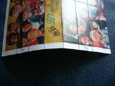 50 metu Sno - (JAV) 1995 snj692 - nuotraukos Nr. 2