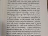 Knyga. Ponas Zy - nuotraukos Nr. 2