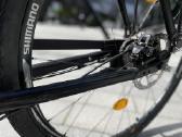 Cannondale Vintage 8 vidinės pavaros - nuotraukos Nr. 6