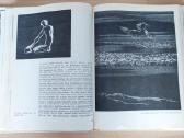 Knygos apie fotografiją, dailę ,literatūrą - nuotraukos Nr. 14