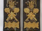 Ukrainos armijos generolo movos