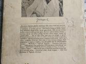 Janošo knyga "Panama labai graži" - nuotraukos Nr. 2