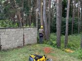 Aukštalipiai,medžių pjovimas,kelmų naikinimas. - nuotraukos Nr. 10