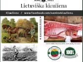 Lietuviškos kiaulienos skerdiena svilinta į namus