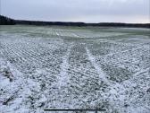 Parduodu arba keičiu žemę, 8.21 ha - nuotraukos Nr. 4