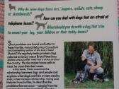 Do Dogs Need Shrinks? Peter Neville 1992 m. - nuotraukos Nr. 2