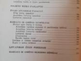 Sparnuoti lietuviai.darius ir girenas - nuotraukos Nr. 6