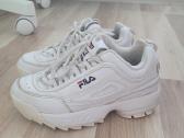 Fila kedukai