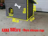 Šuns buda šuns budos - nuotraukos Nr. 8