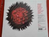 Sasha - Airdrawndagger red vinyl - nuotraukos Nr. 2