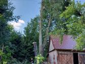 Aukštalipiai,medžių pjovimas,kelmų naikinimas. - nuotraukos Nr. 18