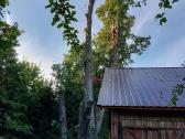 Aukštalipiai,medžių pjovimas,kelmų naikinimas. - nuotraukos Nr. 15