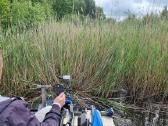 Nendrių, meldų ir kitos vandens augalijos pjovimas - nuotraukos Nr. 7