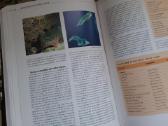 World Atlas of Coral Reefs - nuotraukos Nr. 7