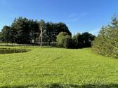Namų valdos žemės sklypas Kuliuose - nuotraukos Nr. 4