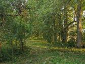 Parduodu sodybą - vienkiemį Dauginčių km. 93 arai - nuotraukos Nr. 12