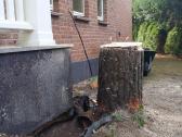 Kelmų naikinimas išfrezuojant - nuotraukos Nr. 5