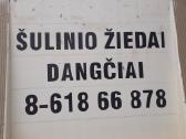 Šulinio Žiedai 55€ - nuotraukos Nr. 10