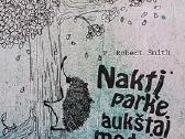 Naktį Parke Aukštai Medyje Su Ežiuku