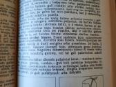 Kelių eismo saugumas - nuotraukos Nr. 7