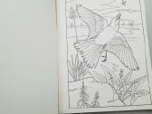 Spalvinimo knygos - nuotraukos Nr. 7