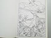 Spalvinimo knygos - nuotraukos Nr. 10
