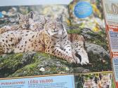 National Geographic Kids - nuotraukos Nr. 4