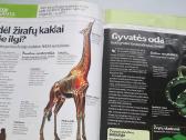 Žurnalas Ar žinai kad? - nuotraukos Nr. 4