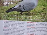 Miškai, 2022 birželis - nuotraukos Nr. 12