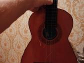 Seniena