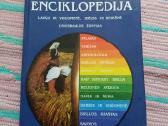 Biblijos Enciklopedija