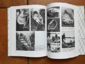 L. P. Kazlauskienė "Žvejybos istorijos apybraižos" - nuotraukos Nr. 15
