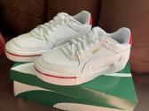 Puma - nuotraukos Nr. 3