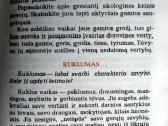 K. Miškinis 100 atsakymų tėvams 1985 m. - nuotraukos Nr. 9