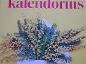 Šeimos kalendorius 2022
