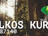Malkinė Mediena Rąsteliais / Skaldyta - nuotraukos Nr. 4