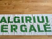 Žalgirio plakatas