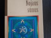 Nojaus sūnus