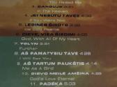 Ingrida Ručinskienė Danguje CD - nuotraukos Nr. 4