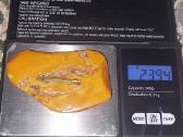 Gintaro grynuolio segė 23.94 g. - nuotraukos Nr. 6
