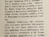Maironis - nuotraukos Nr. 3