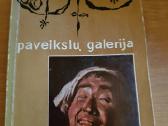 Knyga,vilniaus paveikslu galerija - nuotraukos Nr. 2