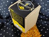 Bičių surinktos žiedadulkės - nuotraukos Nr. 2