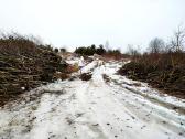 Statybinių šiukšlių išvežimas, žaliųjų atliekų sur - nuotraukos Nr. 14
